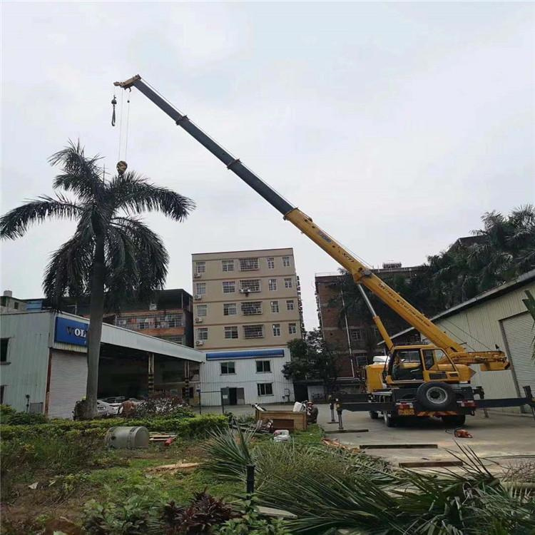 鱼峰树木移栽装卸
